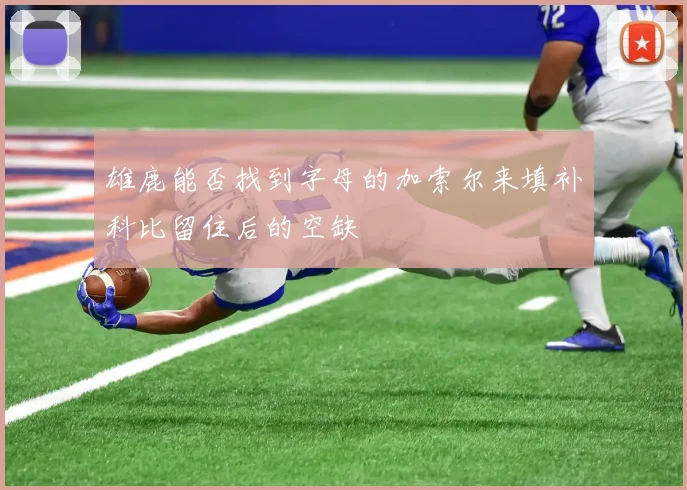雄鹿能否找到字母的加索尔来填补科比留住后的空缺