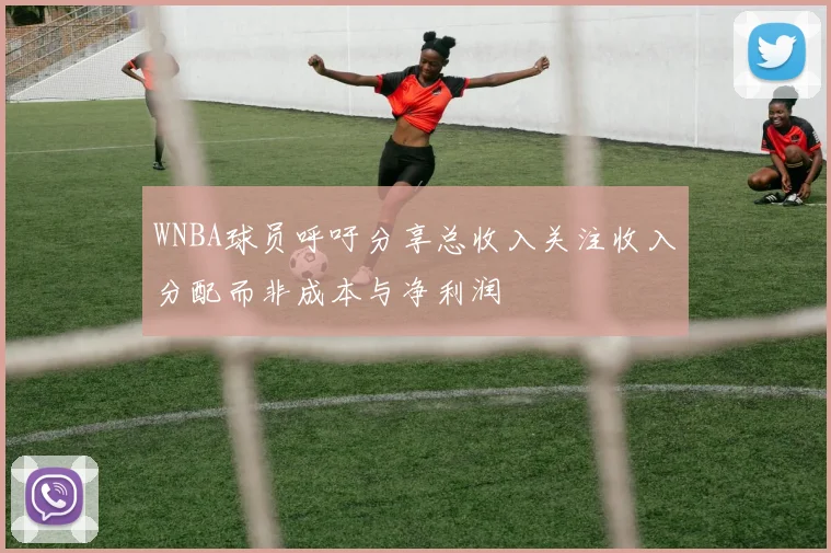 WNBA球员呼吁分享总收入关注收入分配而非成本与净利润