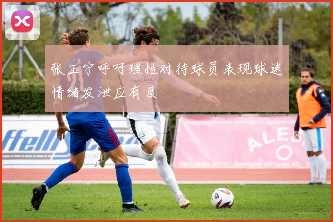 张玉宁呼吁理性对待球员表现球迷情绪发泄应有度