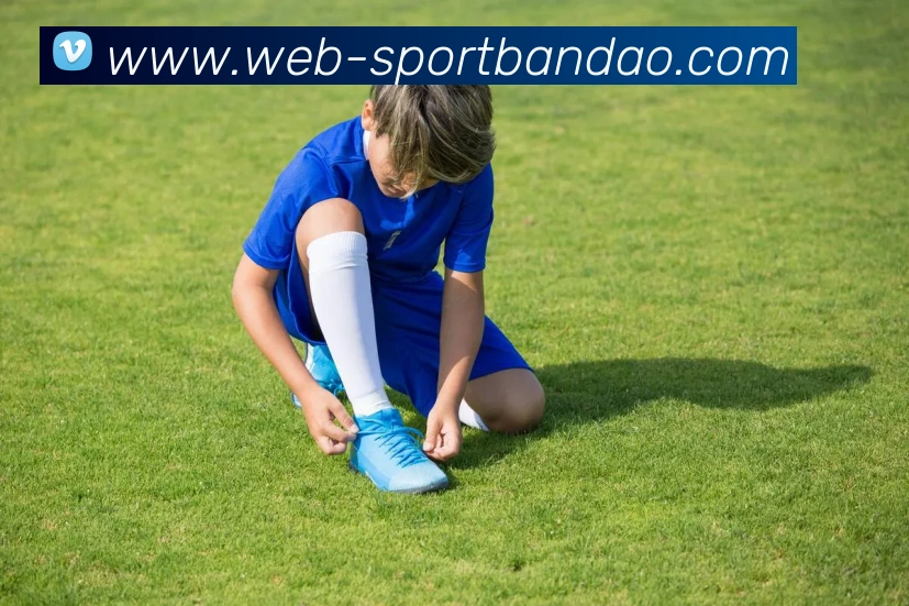 半岛体育APP 高清赛事图